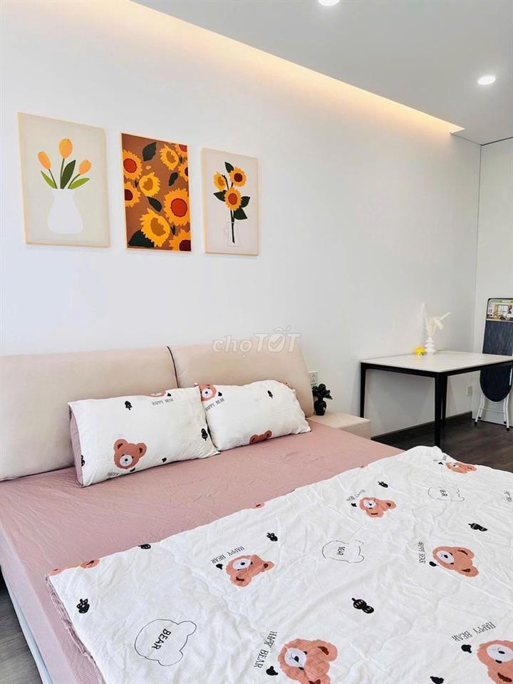 Chuyên cho thuê căn hộ 2,3,4 Phòng ngủ Diamond Alnata Plus