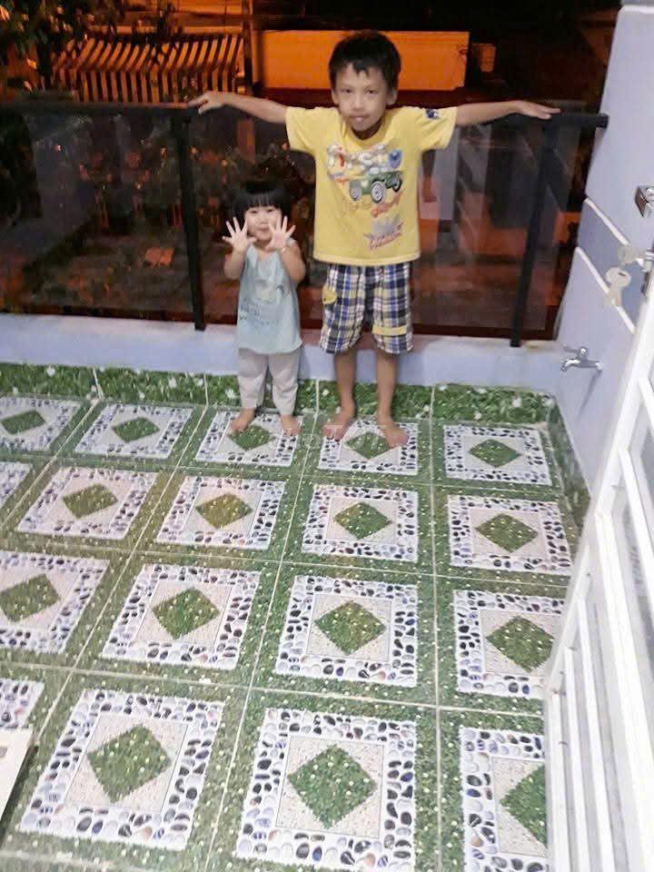 Cần Bán nhà Mặt Tiền Đường Lê Cao Lãng