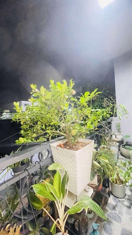 💥 HXH- HƯƠNG LỘ 2– NHÀ MỚI XÂY KIÊN CỐ 2 TẦNG – GẦN TÊN LỬA- 4ty nhỉnh