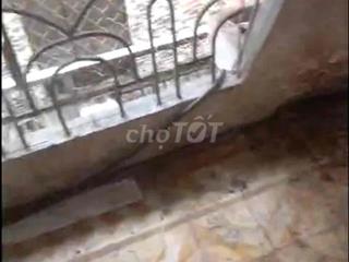 Nhà xưởng Tân phú