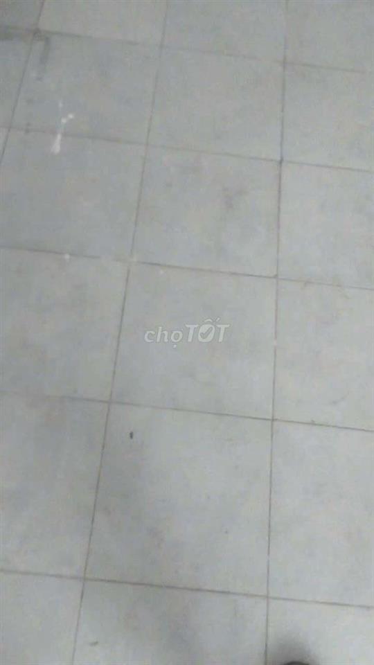 cho thuê phòng trọ giá sinh viên