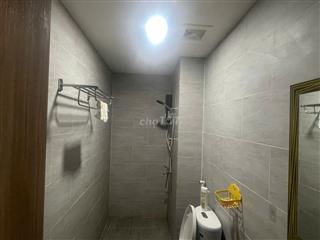 Chính chủ cần bán căn hộ tầng 15, chung cư CitiSoho Cát Lái