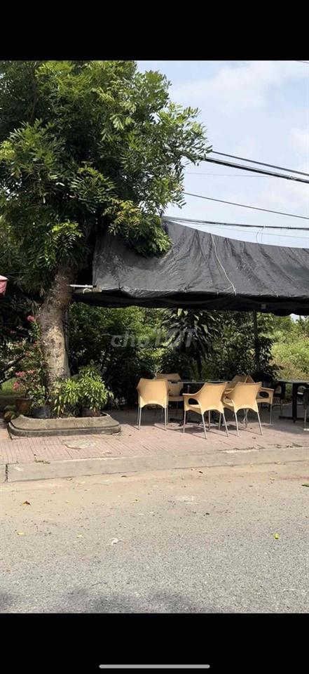 Em Chính Chủ Cần Bán Đất Khu Tái Định Cư Trần Để- Ngay Chợ