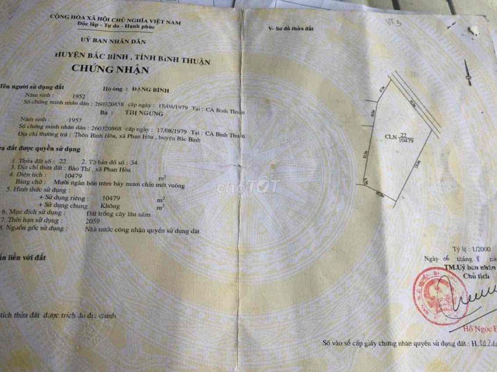 chính chủ bán 1,1 ha đất mặt đường lớn Chợ Lầu