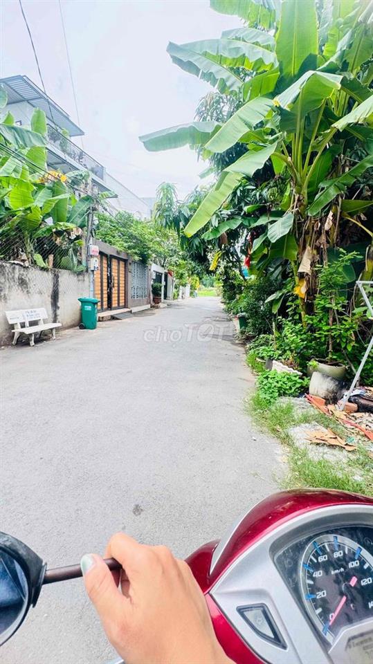 ĐẤT BIỆT THỰ GÒ CÁT 157m2 thổ cư 9,2x17m 8,1 tỷ XDTD