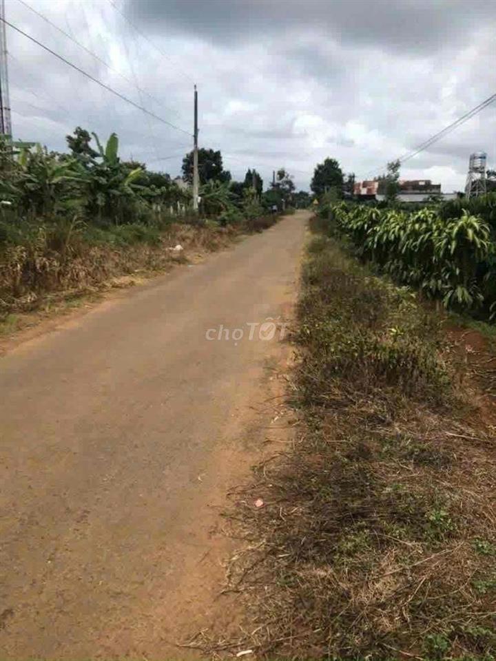 Đất chính chủ, Hoà An, Lộc An, Lâm Đồng. 555m2, 100m2 thổ cư