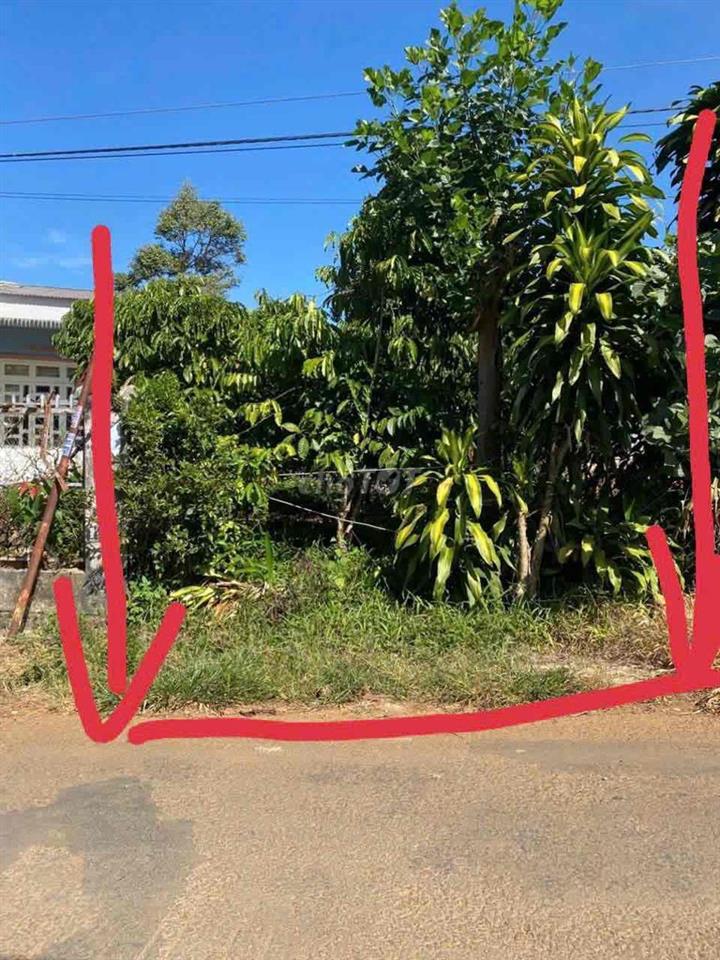 Đất chính chủ, Hoà An, Lộc An, Lâm Đồng. 555m2, 100m2 thổ cư