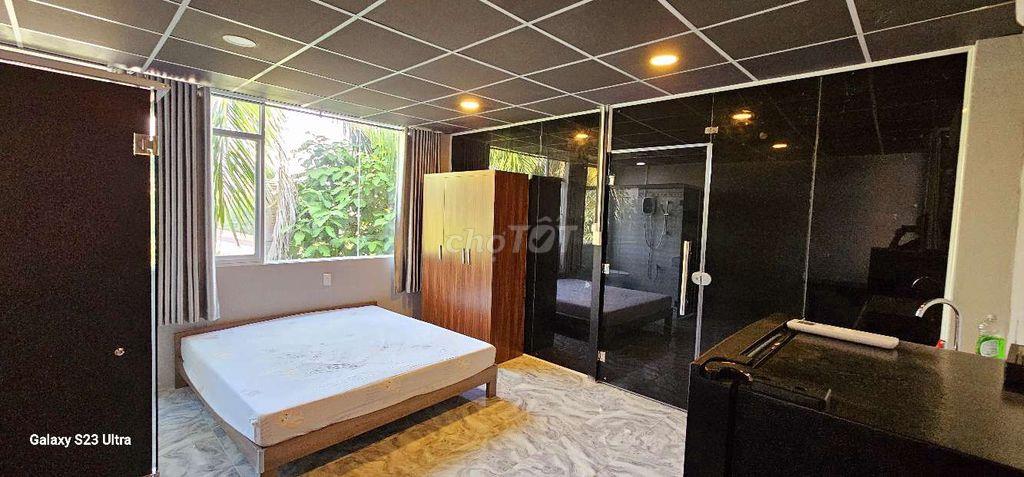 CHDV FULL NT GẦN TRẦN NÃO