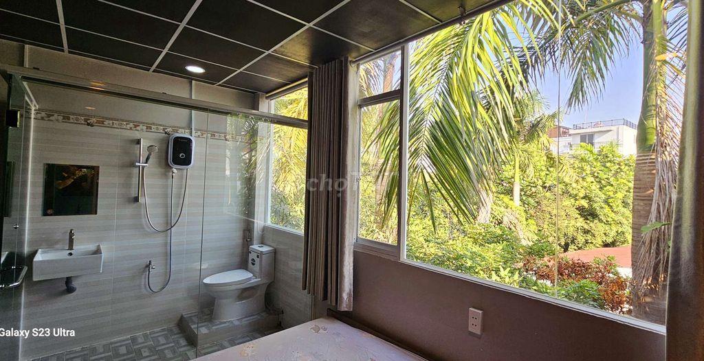 CHDV FULL NT GẦN TRẦN NÃO