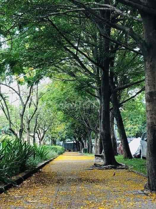 Cho nữ thuê phòng, đầy đủ nội thất