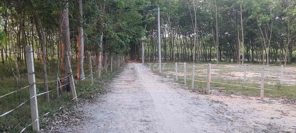 Đất chính chủ, Bến Cát - Bình Dương, thổ cư 100m2
