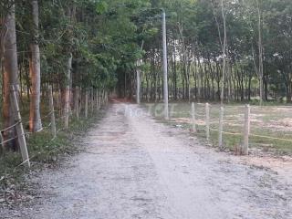 Đất chính chủ, Bến Cát - Bình Dương, thổ cư 100m2