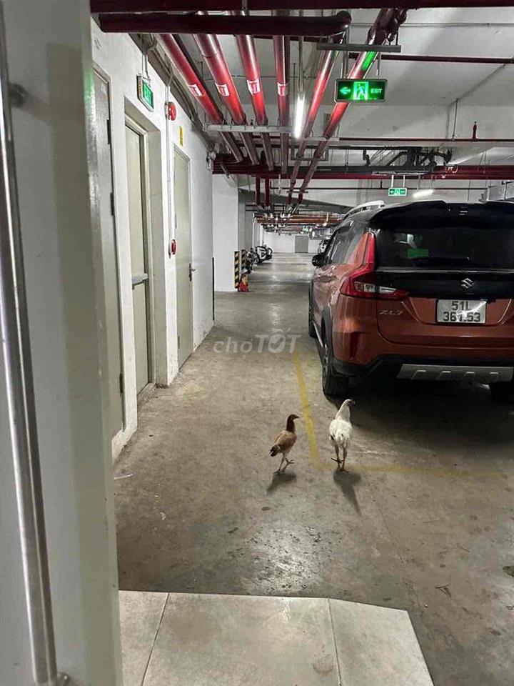 cho thuê căn hộ full nội thất