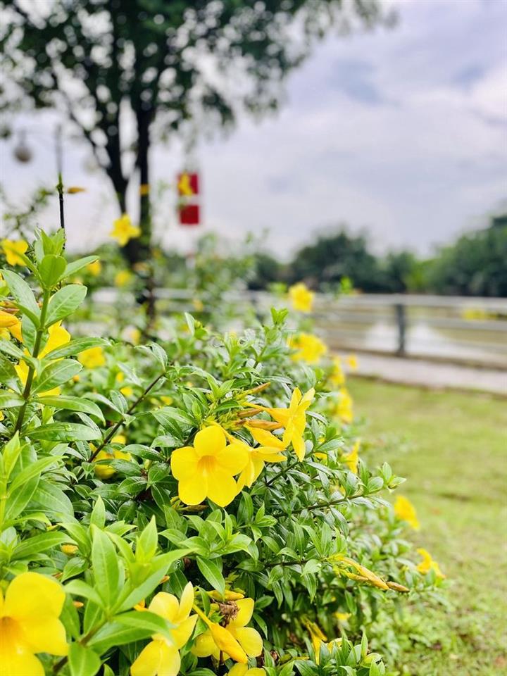 NHÀ COMPOUND LIÊN PHƯỜNG Q9 - PARK RIVERSIDE - 3 TẦNG FULL NT -3PN 3WC