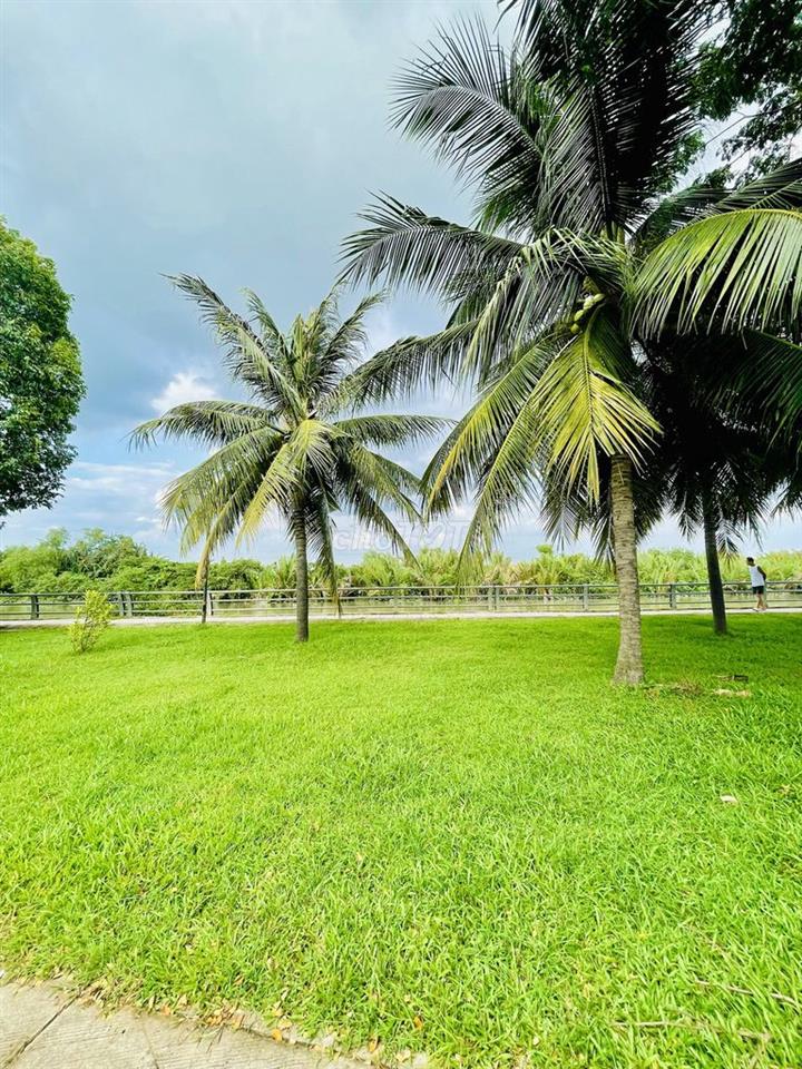 NHÀ COMPOUND LIÊN PHƯỜNG Q9 - PARK RIVERSIDE - 3 TẦNG FULL NT -3PN 3WC