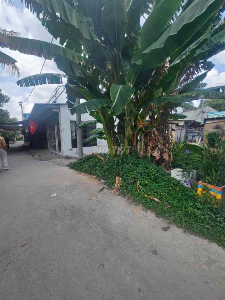 💥 1,85 TỈ SỞ HỮU LÔ ĐẤT 75M² – HIỆP BÌNH