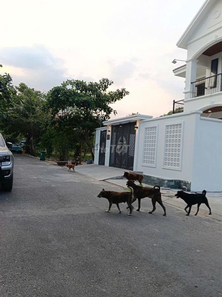 Bán đất 145m2 đường oto KDC Ven Sông Hiệp Bình chánh Thủ Đức 13 tỷ 8