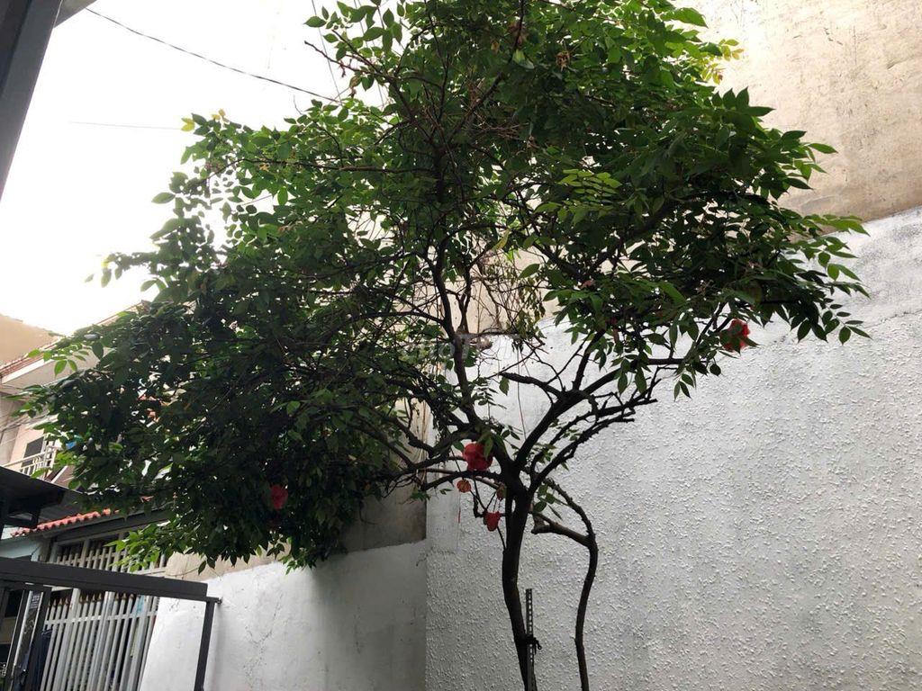 BÁN NHÀ CHÍNH CHỦ 2PN - 2WC - QUẬN 9 