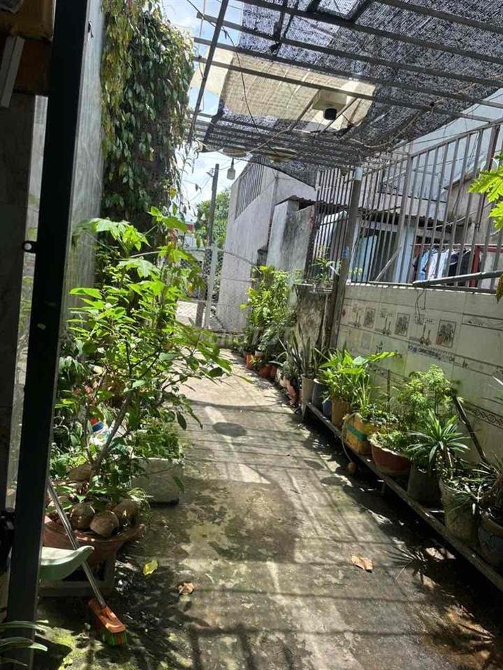 HÀNG NGỘP🔥BÁN ĐẤT TẶNG DÃY TRỌ 10 PHÒNG💥