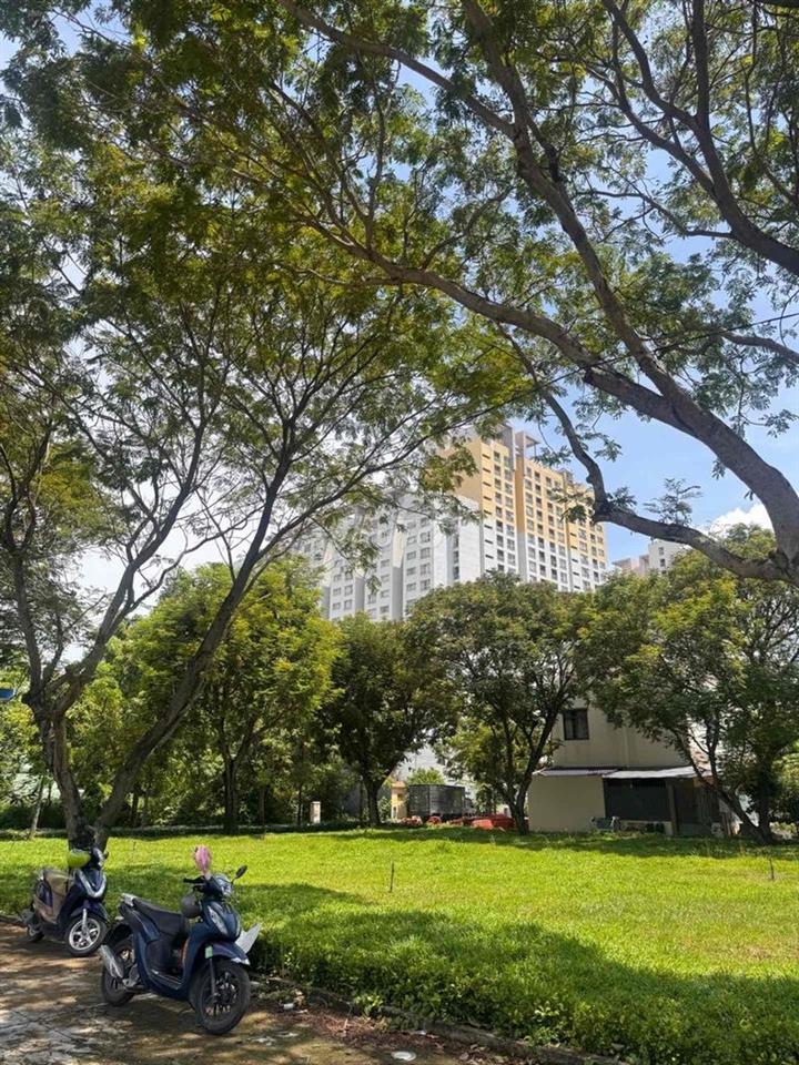 ĐẤT