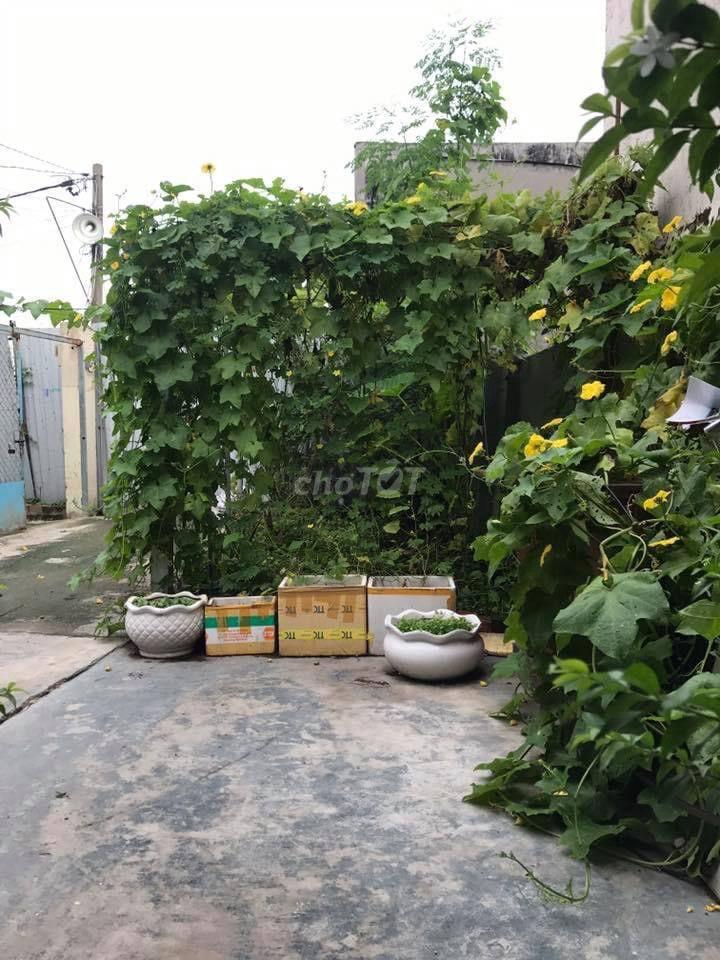 🔥 Xuất cảnh bán gấp 114,7m² đất nở hậu đẹp – Đối diện Urban Green 🔥