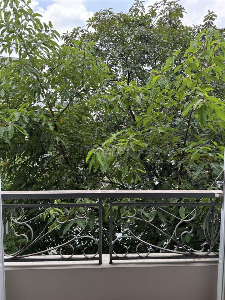 Biệt thự song lập