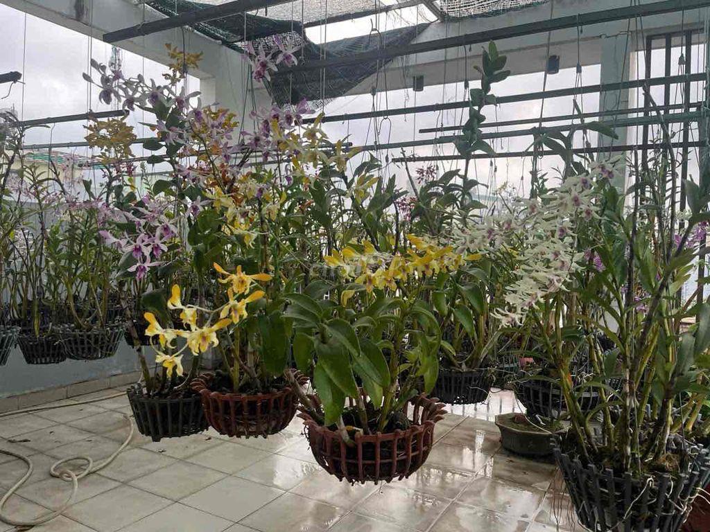 BÁN NHÀ ĐẸP , Đ 339 p, Phước Long , Hồ Chí Minh