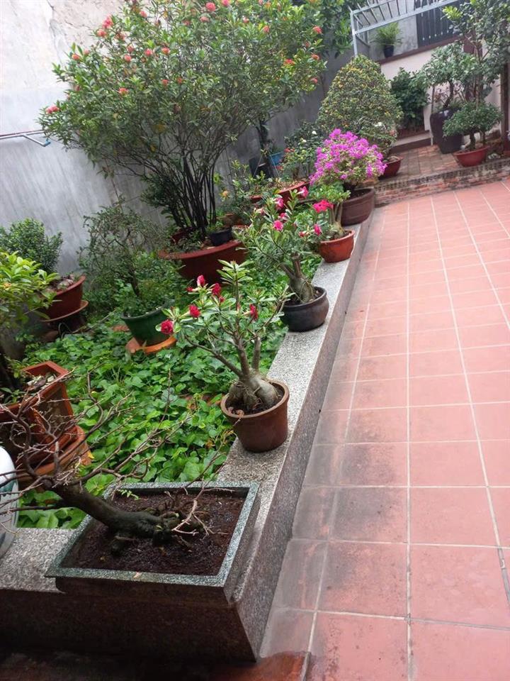 Bán nhà mặt tiền 
