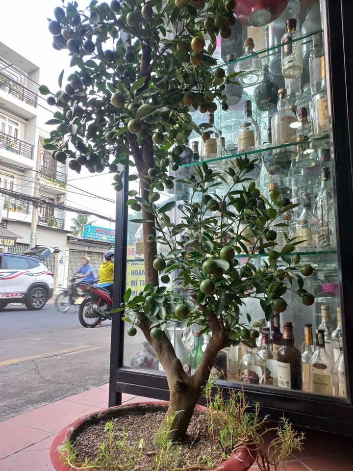 Bán nhà mặt tiền 