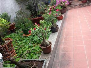 Cần bán nhà mặt tiền 