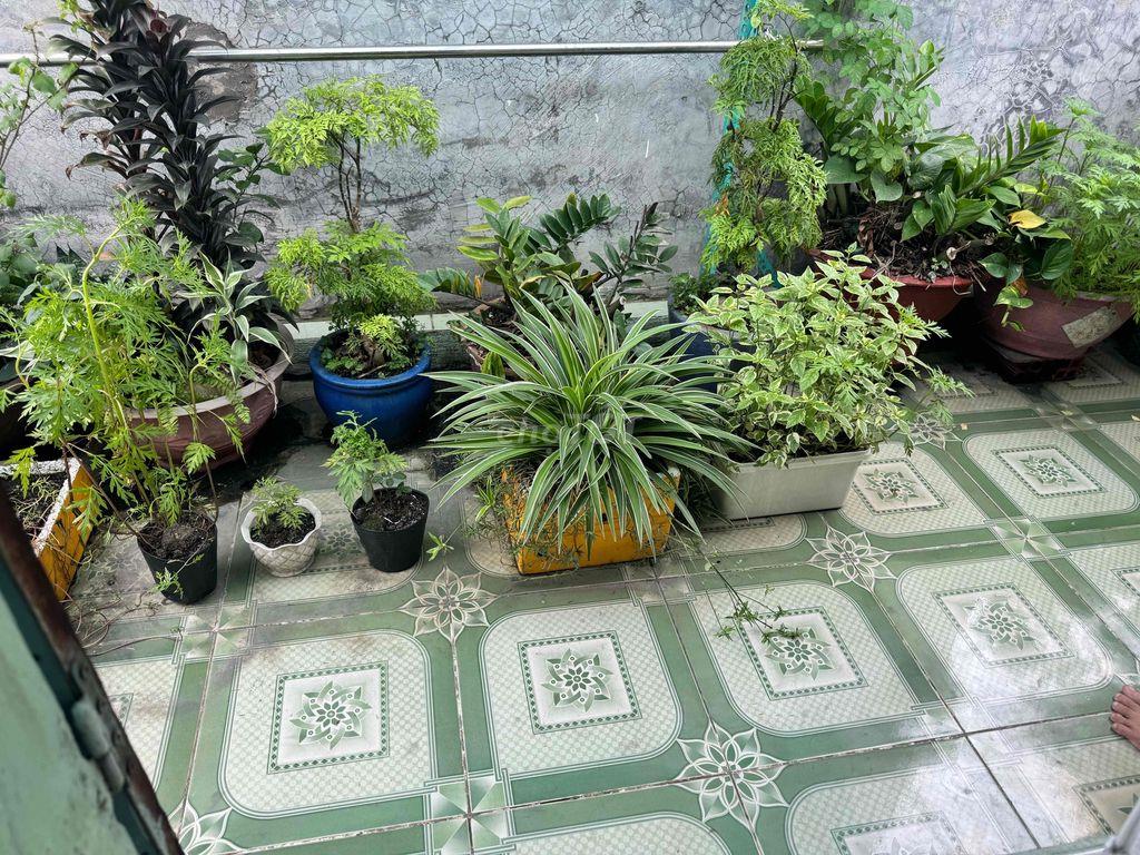 CHỈ 2.3 TỶ CÓ NHÀ SỔ HỒNG RIÊNG SÁT QUỐC LỘ 13, HIỆP BÌNH PHƯỚC, 30M2