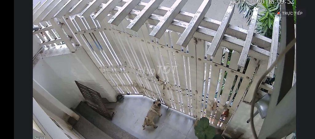 Nhà đẹp ngay gần chợ Tam Bình: 3PN + 4WC + phòng thờ + Sân thượng