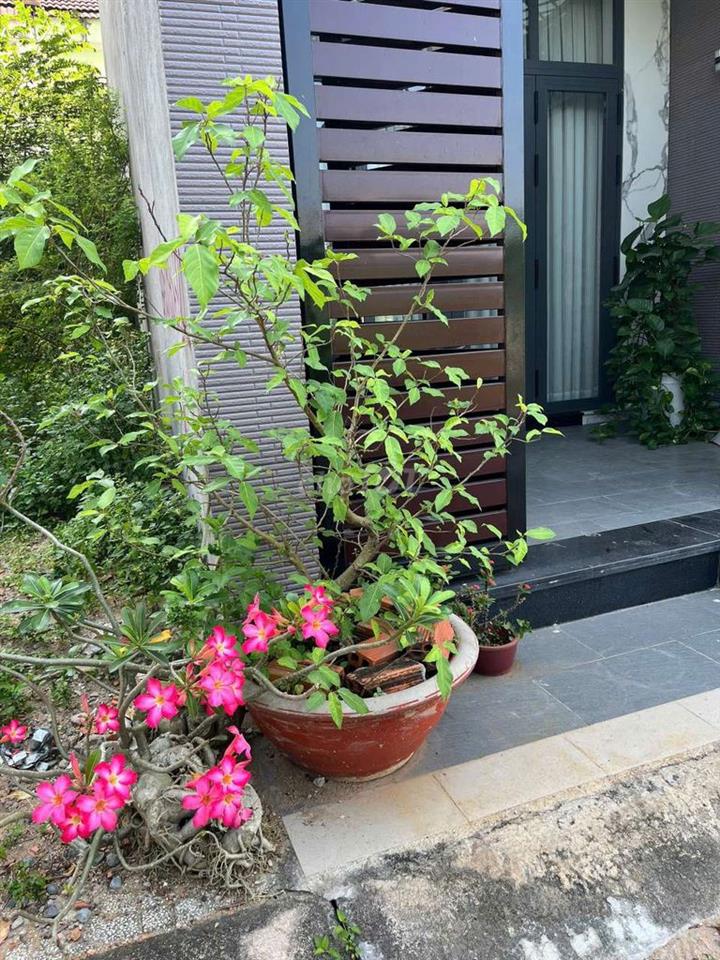 NHÀ ĐẸP HXT 1T2L 4PN 4WC. GẦN CHỢ ĐẦU MỐI