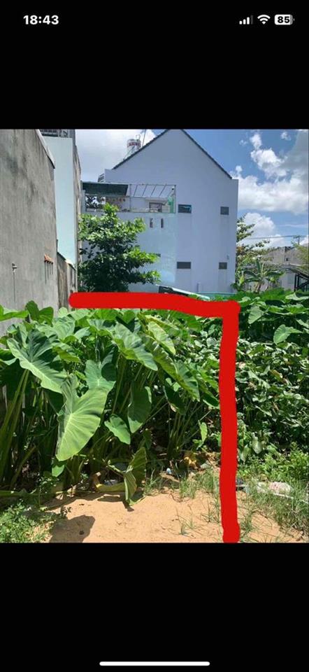 Đất sổ hồng riêng