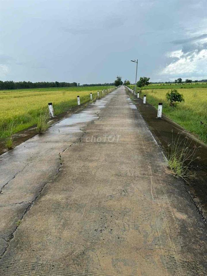 Bán Đất trồng