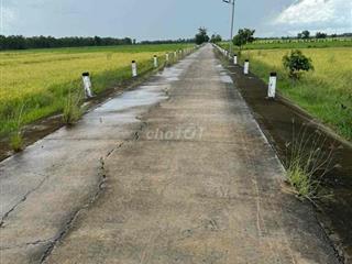 Bán Đất trồng