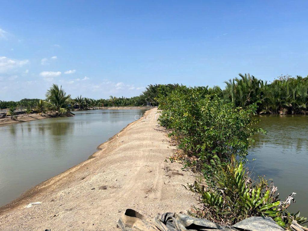 Bán đất