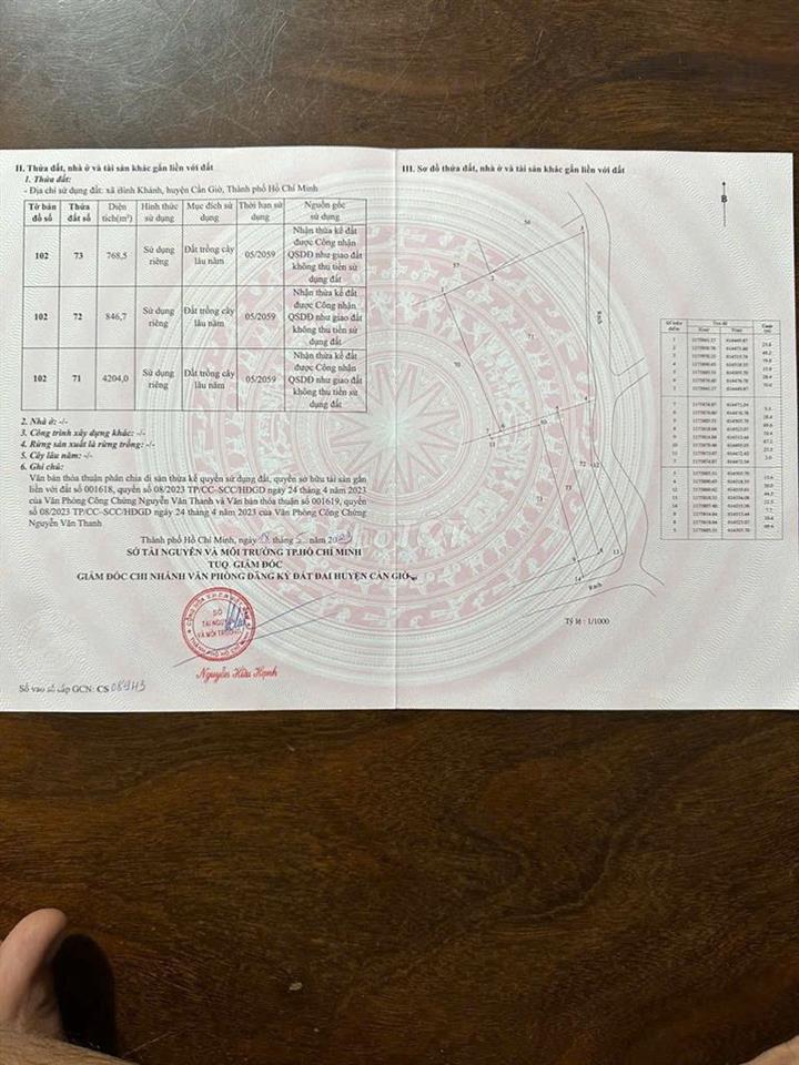 Bán đất