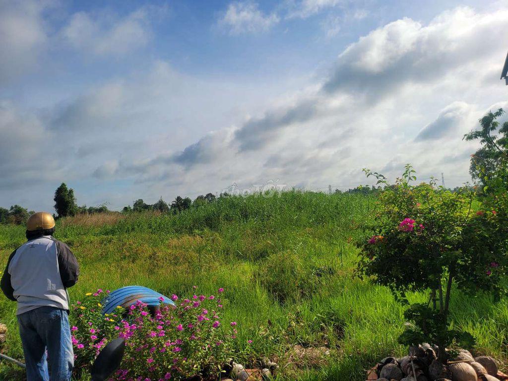 Gấp Bán đất Nghỉ Dưỡng view sông Vàm Cỏ Đông đẹp tại Hoà Khánh