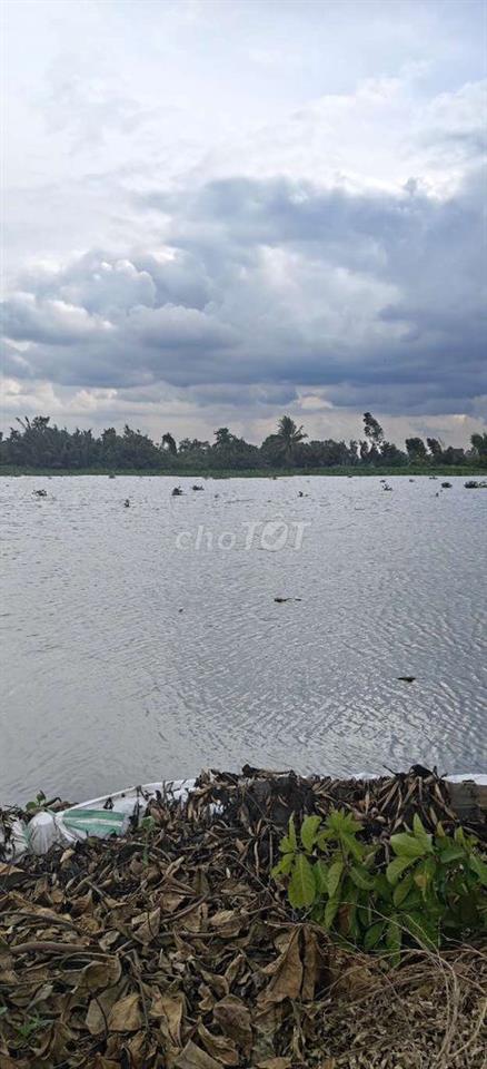 Gấp Bán đất Nghỉ Dưỡng view sông Vàm Cỏ Đông đẹp tại Hoà Khánh