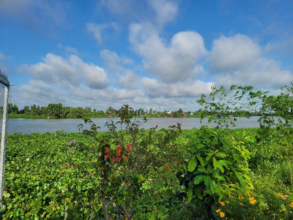 Gấp Bán đất Nghỉ Dưỡng view sông Vàm Cỏ Đông đẹp tại Hoà Khánh