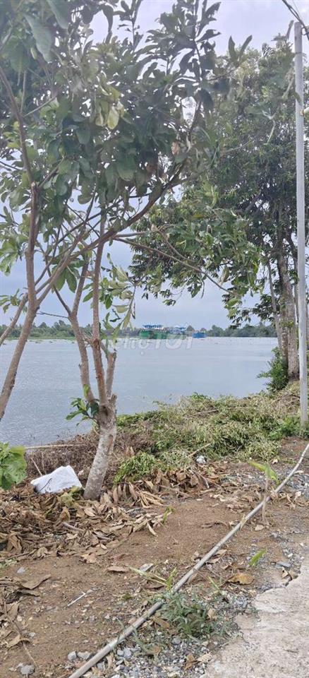 Gấp Bán đất Nghỉ Dưỡng view sông Vàm Cỏ Đông đẹp tại Hoà Khánh
