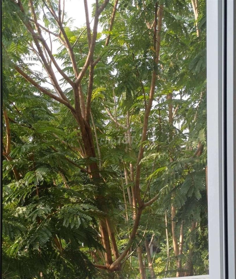 Cho Thuê Căn Hộ Dịch Vụ