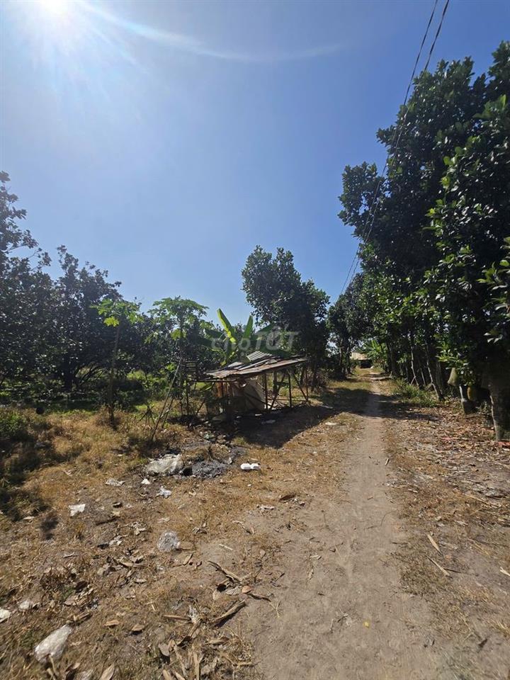 BÁN ĐẤT 17858,1 M2 - HOÀ THÀNH - TÂY NINH
