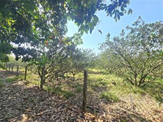 BÁN ĐẤT 17858,1 M2 - HOÀ THÀNH - TÂY NINH