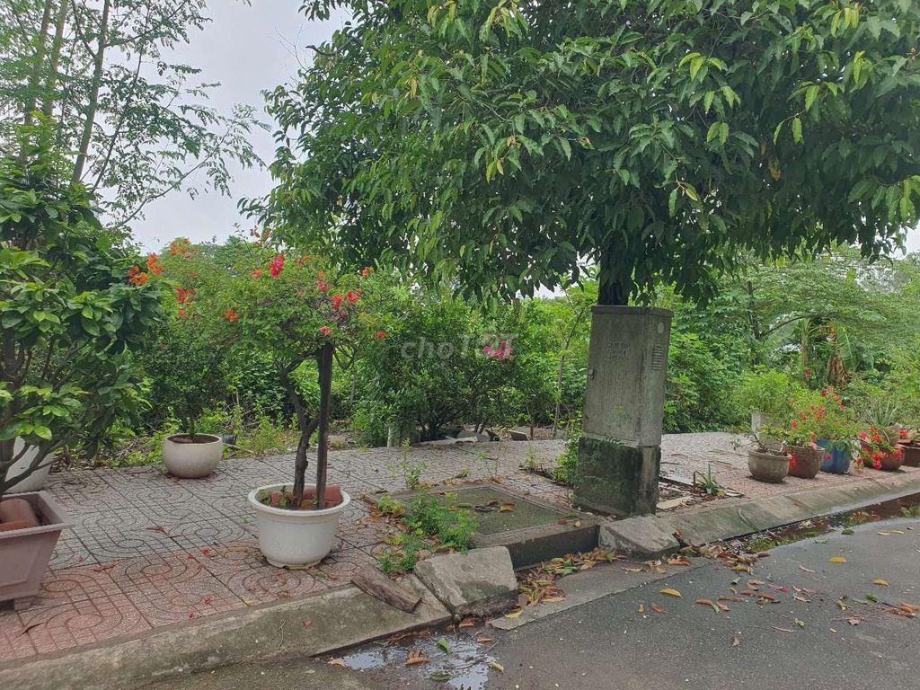 Đất nền dự án Mẫu giáo Trung Ương 3