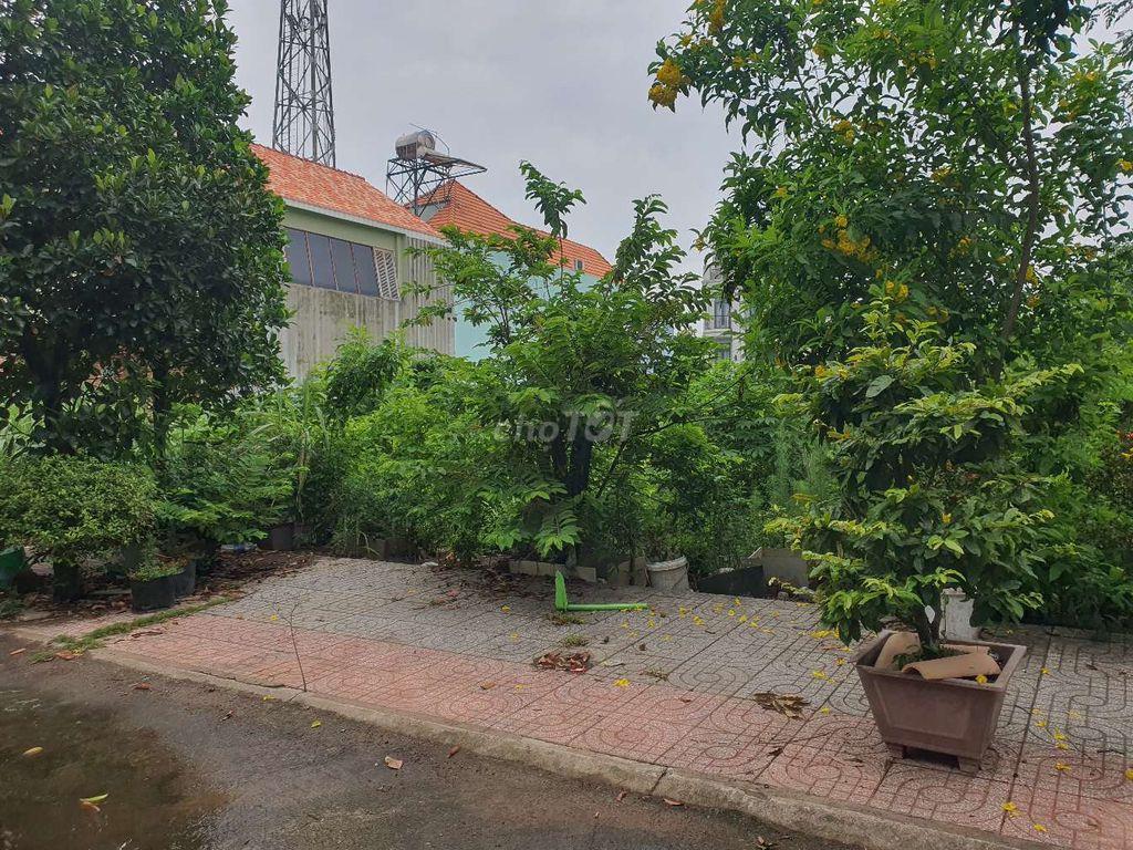 Đất nền dự án Mẫu giáo Trung Ương 3