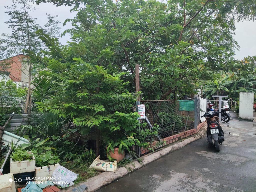 Đất Phú Hữu 2 mặt tiền hẻm ô tô 7 chỗ