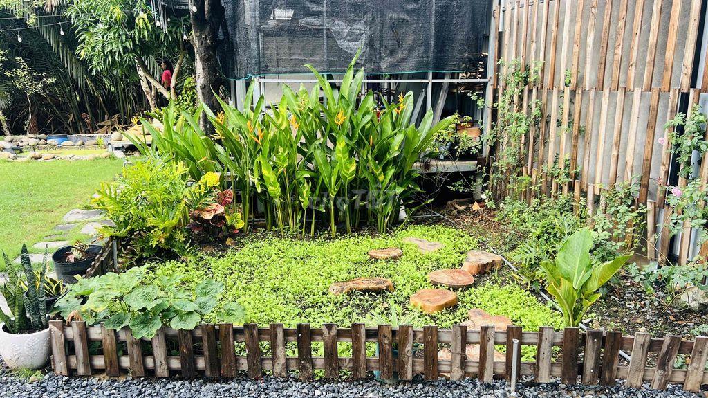 cần tiền bán gấp đất thổ cư và vườn