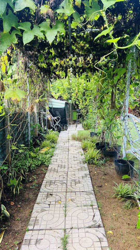 cần tiền bán gấp đất thổ cư và vườn
